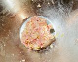 オートミール入りれんこんの挟み焼き作り方2写真