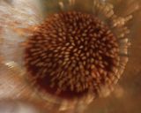 ニラのチジミ作り方6写真