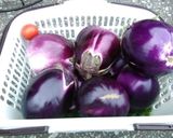秋ナスのグラタン作り方7写真