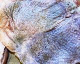 簡単♪ダブルチーズグリルチキン作り方2写真