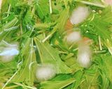 辛味大根と水菜の和風サラダ作り方2写真