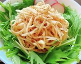 辛味大根と水菜の和風サラダ作り方4写真