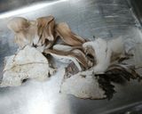 舞茸と牛すじのスパイスカレー作り方3写真