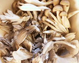 こっくり甘口仕上げ♡しめじと舞茸の佃煮作り方1写真