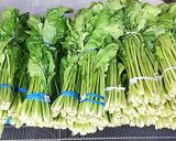 フレッシュ野沢菜で作る青菜炒め作り方1写真