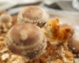 ハロゥインには、和風肉団子パスタ作り方9写真