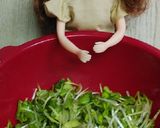 リカちゃん♡かいわれ大根*和風醤油マヨ作り方2写真
