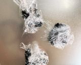 全てレンジ鶏ガラで塩にんにく湯豆腐作り方4写真