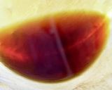 まぐろを塩漬け熟成！俺の炙り中とろ丼作り方8写真