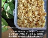 生姜の保存はこれ！発酵おろし生姜作り方21写真
