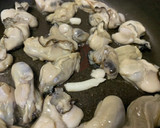 簡単♪牡蠣のオイル漬け作り方5写真