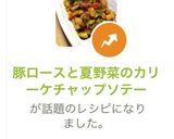 豚ロースと夏野菜のカリーケチャップソテー作り方13写真