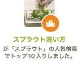 スプラウト洗い方作り方4写真