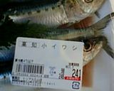 カルシューム第二弾! いわしのつみれ作り方1写真