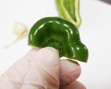 エコなピーマンの切り方作り方4写真