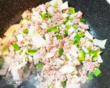 塩麻婆豆腐？簡単白菜と豆腐の中華煮作り方4写真