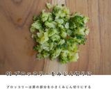 犬ご飯/鮭とブロッコリーの豆乳シチュー作り方2写真