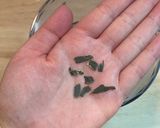 【手作り】昆布だしパック作り方2写真