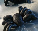 鬼滅の刃 那田蜘蛛山.栗モンブランケーキ作り方13写真