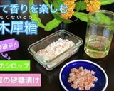 ★食べて楽しむ金木犀の砂糖漬けとシロップ作り方13写真