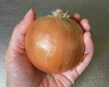韓国本場の味！玉ねぎと豚肉のキムチ炒め作り方13写真