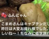 高校2年女子お弁当♥2021.05.09作り方3写真