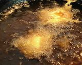冷凍卵でとろ〜り卵の天ぷら作り方3写真