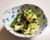 しその実塩漬けのキャベツときゅうり浅漬け作り方4写真