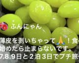 銀杏の素揚げ♪(覚書)作り方3写真