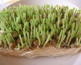 豆苗とウインナーのスープ♪作り方2写真