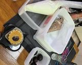 超絶美味しいモンブランタルト作り方12写真