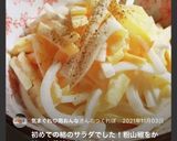 柿と大根のサラダ作り方15写真