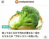 ｡ஐஃブロッコリー★洗い方&切り方ஐஃ作り方8写真