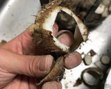 簡単○さといもとひき肉の煮たやつ作り方10写真