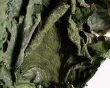 お年寄り絶賛シリーズ☆大蒜☆玉葱スープ☆作り方11写真