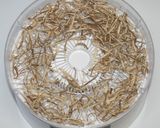 ☆相葉マナブ☆乾燥野菜でさんまの蒲焼釜飯作り方8写真