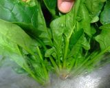 ほうれんそうクリームソース作り方7写真