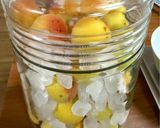 梅シロップ作り方13写真