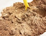 快調 栄養満点 ぬかクッキー サブレ?作り方3写真