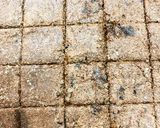 快調 栄養満点 ぬかクッキー サブレ?作り方8写真