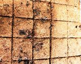 快調 栄養満点 ぬかクッキー サブレ?作り方9写真