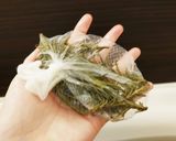 超簡単！ローズマリー&レモン生姜シロップ作り方7写真