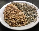 アメリカで手作りアーモンドフィッシュ①作り方4写真