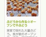 ぶどうから作る☆オーブンで干ぶどう作り方10写真