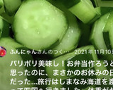 簡単!!白だしで♪胡瓜の浅漬け作り方7写真