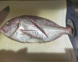 日高良実式、チダイのアクアパッツァ作り方2写真