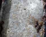 バター香るおからフィナンシェ作り方2写真
