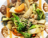 簡単中華炒め味豚こま大根青椒肉絲風作り方17写真