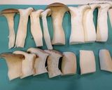 簡単　エリンギ　マヨ作り方1写真