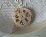 鍋用鶏団子でレンコンつくね作り方4写真